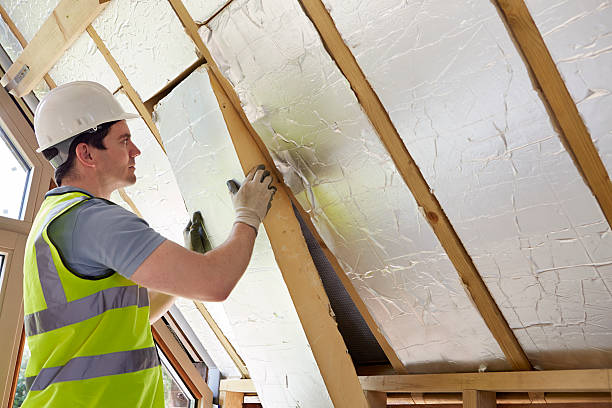 Best Insulation Maintenance and Repair in Morgantown, WV