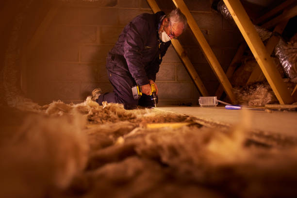 Best Specialized Insulation Services in Morgantown, WV